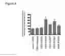 Fig. 05 - Treatment of synucleinopathies