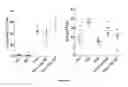 Fig. 04 - IMMUNOTHERAPY OF CANCER THROUGH COMBINATION OF LOCAL AND SYSTEMIC IMMUNE STIMULATION