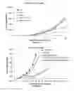 Fig. 05 - IMMUNOTHERAPY OF CANCER THROUGH COMBINATION OF LOCAL AND SYSTEMIC IMMUNE STIMULATION