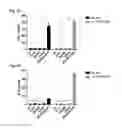 Fig. 05 - Costimulation of chimeric antigen receptors by MyD88 and CD40 polypeptides