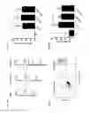 Fig. 06 - Costimulation of chimeric antigen receptors by MyD88 and CD40 polypeptides