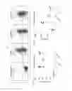 Fig. 14 - Costimulation of chimeric antigen receptors by MyD88 and CD40 polypeptides