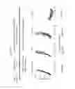 Fig. 44 - Costimulation of chimeric antigen receptors by MyD88 and CD40 polypeptides