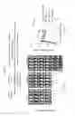 Fig. 45 - Costimulation of chimeric antigen receptors by MyD88 and CD40 polypeptides