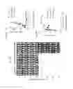 Fig. 48 - Costimulation of chimeric antigen receptors by MyD88 and CD40 polypeptides