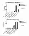 Fig. 52 - Costimulation of chimeric antigen receptors by MyD88 and CD40 polypeptides