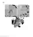 Fig. 17 - Immunogenic complex for vaccination and method for the production thereof