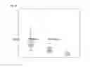 Fig. 24 - Immunogenic complex for vaccination and method for the production thereof