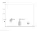 Fig. 25 - Immunogenic complex for vaccination and method for the production thereof