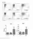 Fig. 27 - Immunogenic complex for vaccination and method for the production thereof