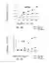 Fig. 05 - VACCINE COMPOSITION CONTAINING SYNTHETIC ADJUVANT