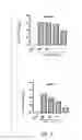 Fig. 09 - VACCINE COMPOSITION CONTAINING SYNTHETIC ADJUVANT
