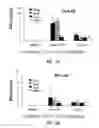 Fig. 10 - VACCINE COMPOSITION CONTAINING SYNTHETIC ADJUVANT