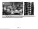 Fig. 04 - Photosynthetic cellular substances and methods of use thereof