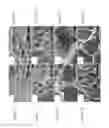 Fig. 04 - Crosslinked chitosan-lactide hydrogels