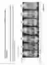 Fig. 22 - Crosslinked chitosan-lactide hydrogels