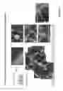 Fig. 27 - Crosslinked chitosan-lactide hydrogels