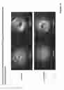 Fig. 29 - Crosslinked chitosan-lactide hydrogels