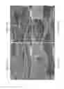 Fig. 32 - Crosslinked chitosan-lactide hydrogels