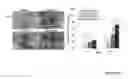 Fig. 40 - Crosslinked chitosan-lactide hydrogels