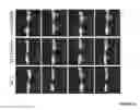 Fig. 44 - Crosslinked chitosan-lactide hydrogels