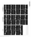 Fig. 46 - Crosslinked chitosan-lactide hydrogels