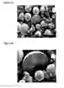 Fig. 04 - Solid dosage form containing arabinogalactan