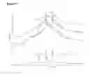 Fig. 24 - Solid dosage form containing arabinogalactan