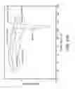 Fig. 40 - Solid dosage form containing arabinogalactan