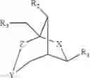 Fig. 19 - Lipopeptides for delivery of nucleic acids