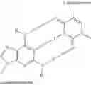 Fig. 20 - Lipopeptides for delivery of nucleic acids