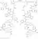 Fig. 112 - Cyclodextrin-Based Polymers for Therapeutic Delivery