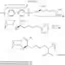 Fig. 91 - Cyclodextrin-Based Polymers for Therapeutic Delivery