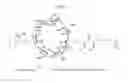 Fig. 08 - CYCLODEXTRIN-BASED POLYMERS FOR THERAPEUTIC DELIVERY