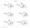 Fig. 15 - CYCLODEXTRIN-BASED POLYMERS FOR THERAPEUTIC DELIVERY