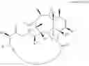 Fig. 169 - CYCLODEXTRIN-BASED POLYMERS FOR THERAPEUTIC DELIVERY