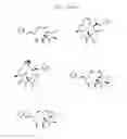 Fig. 17 - CYCLODEXTRIN-BASED POLYMERS FOR THERAPEUTIC DELIVERY