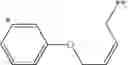 Fig. 171 - CYCLODEXTRIN-BASED POLYMERS FOR THERAPEUTIC DELIVERY
