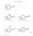Fig. 19 - CYCLODEXTRIN-BASED POLYMERS FOR THERAPEUTIC DELIVERY