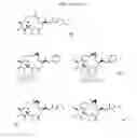 Fig. 20 - CYCLODEXTRIN-BASED POLYMERS FOR THERAPEUTIC DELIVERY