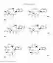 Fig. 22 - CYCLODEXTRIN-BASED POLYMERS FOR THERAPEUTIC DELIVERY