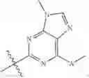 Fig. 233 - CYCLODEXTRIN-BASED POLYMERS FOR THERAPEUTIC DELIVERY