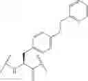 Fig. 331 - CYCLODEXTRIN-BASED POLYMERS FOR THERAPEUTIC DELIVERY