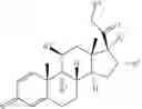 Fig. 376 - CYCLODEXTRIN-BASED POLYMERS FOR THERAPEUTIC DELIVERY