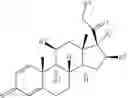 Fig. 378 - CYCLODEXTRIN-BASED POLYMERS FOR THERAPEUTIC DELIVERY