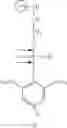 Fig. 466 - CYCLODEXTRIN-BASED POLYMERS FOR THERAPEUTIC DELIVERY