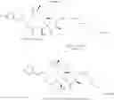 Fig. 496 - CYCLODEXTRIN-BASED POLYMERS FOR THERAPEUTIC DELIVERY
