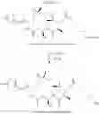 Fig. 501 - CYCLODEXTRIN-BASED POLYMERS FOR THERAPEUTIC DELIVERY