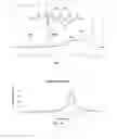 Fig. 06 - Polyplexes