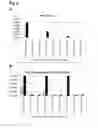 Fig. 05 - Formulation of growth hormone albumin-binder conjugate